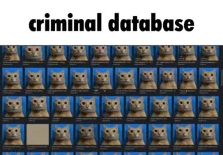 Criminal Cat Database
