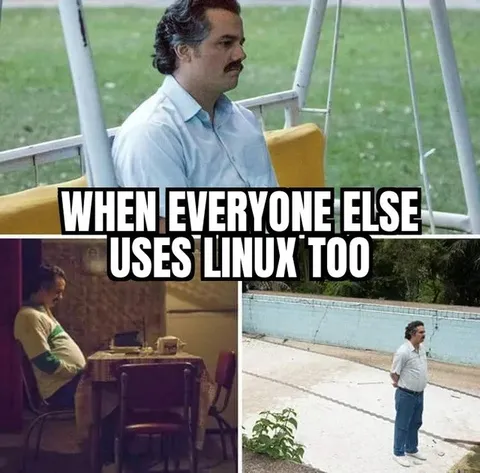 When Everyone Else Uses Linux Too