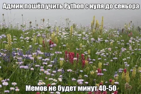 Админ учит Python с нуля