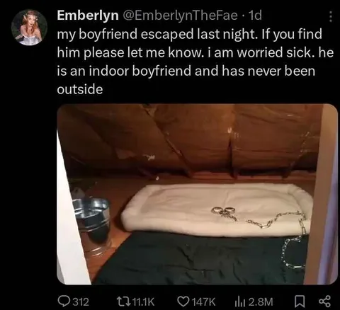 Indoor Boyfriend Escaped