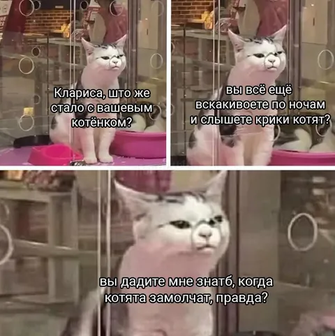 Котята никогда не замолкают