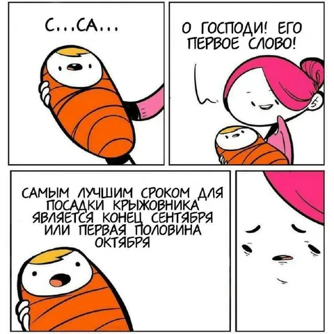 Первое слово про крыжовник