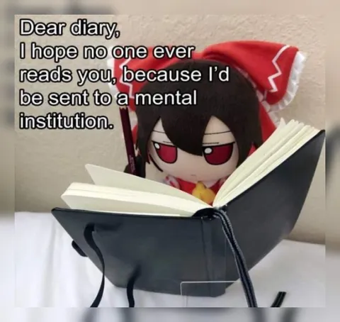 Dear Diary Mental Institution