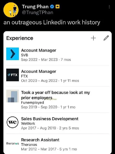 Outrageous LinkedIn Work History