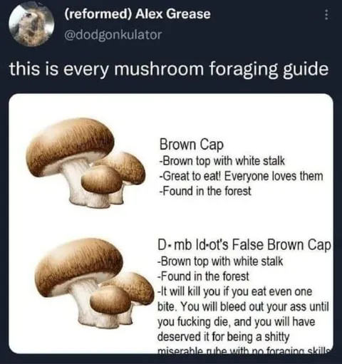 Every Mushroom Foraging Guide