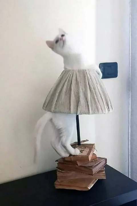 Кот-лампа на стопке книг