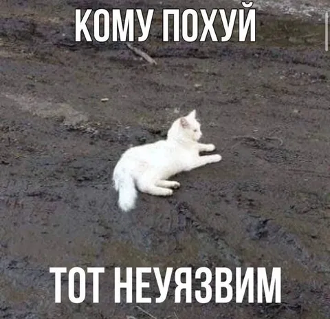 Кому похуй, тот неуязвим