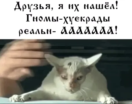 Гномы-хуекрады найдены