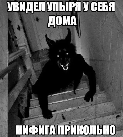 Улыбыря у себя дома