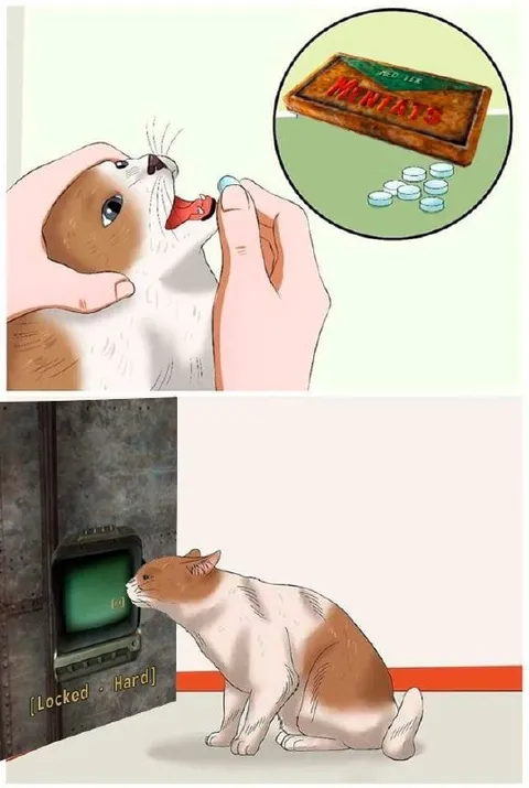 Cat Locked Out of Treats