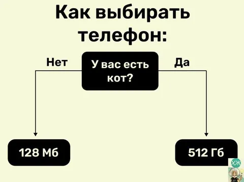 Как выбрать телефон по коту