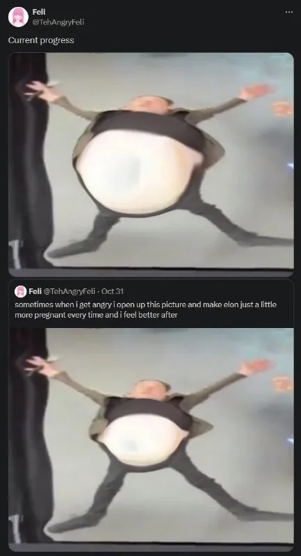 Making Elon More Pregnant