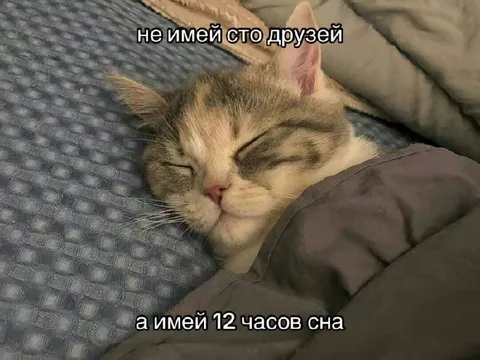 Не имей сто друзей