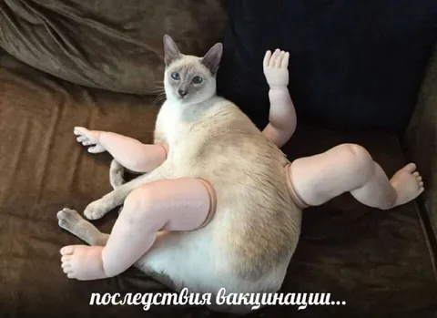 Последствия вакцинации