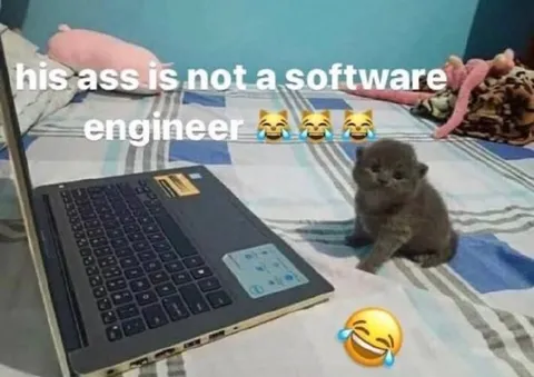 Kitten Is Not a Software Engineer
