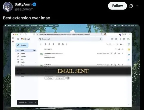 Best Extension Ever Email Sent