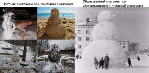 Частные и общественные снеговики