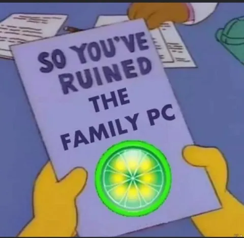 So You've Ruined the Family PC