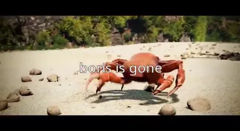 Boris Is Gone Crab Rave