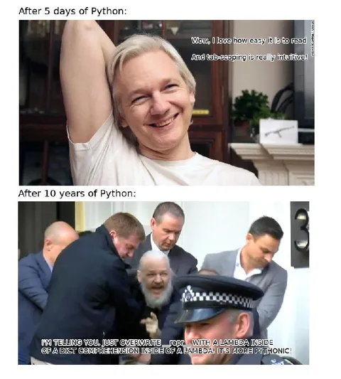 After 10 Years of Python