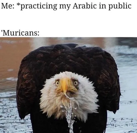 Practicing Arabic in Public