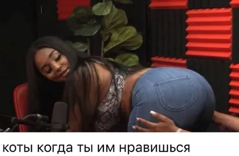 Коты когда ты им нравишься