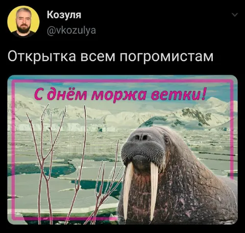 Открытка всем погромистам