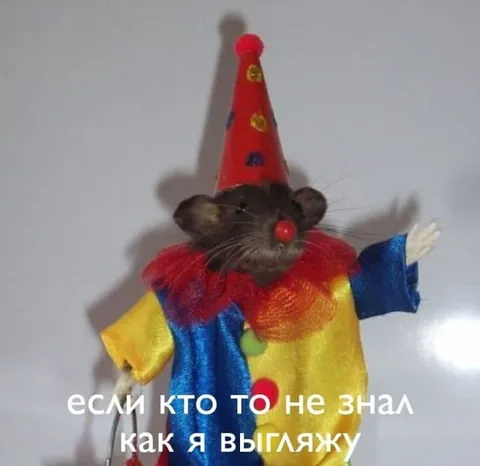 Крыса-клоун показывает, как выглядит