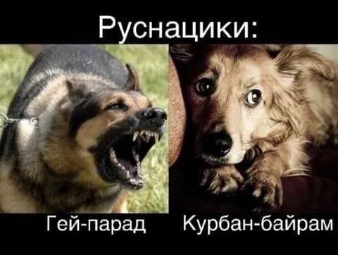 Русначики: гей-парад и Курбан-байрам