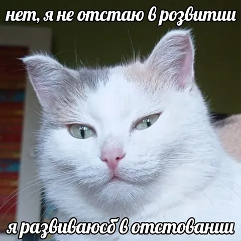 Кот развивается в отставании