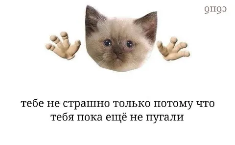 Тебя пока ещё не пугали