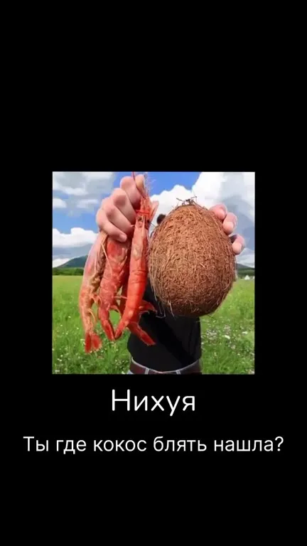 Впизду такие рецепты