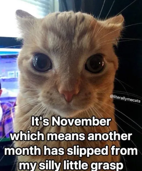 November Slipped Away
