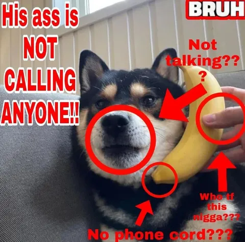 Dog Thinks Banana Is a Phone
