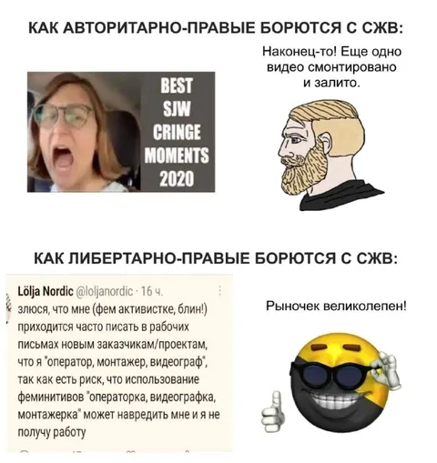 Авторитарно-правые против СЖВ