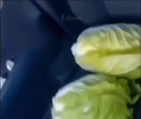 Грузовик капусты и странная находка