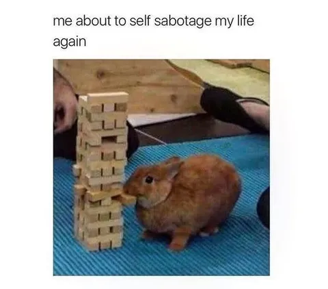 Self-Sabotage Again
