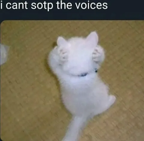 I Can't Sotp the Voices