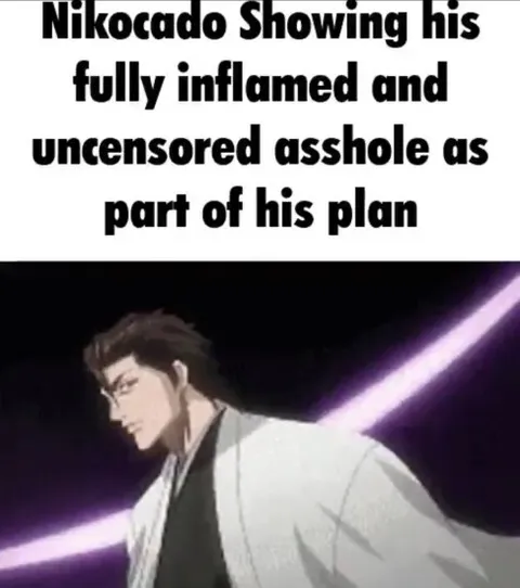 Aizen Showing His Asshole Plan