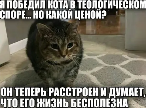 Кот проиграл теологический спор