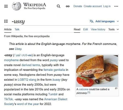 Wikipedia -ussy Article