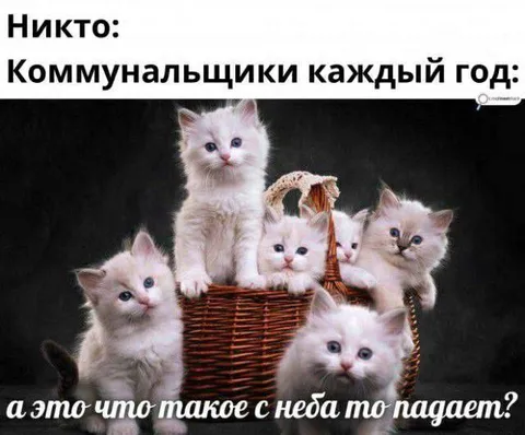 Коммунальщики и первый снег