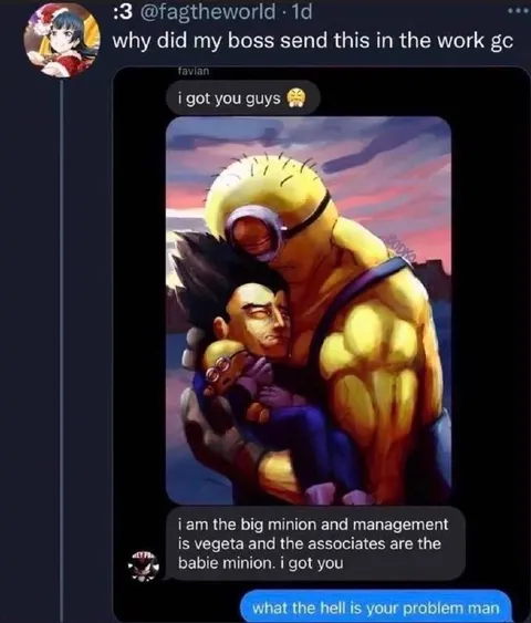Boss Sends Minion Protection Meme