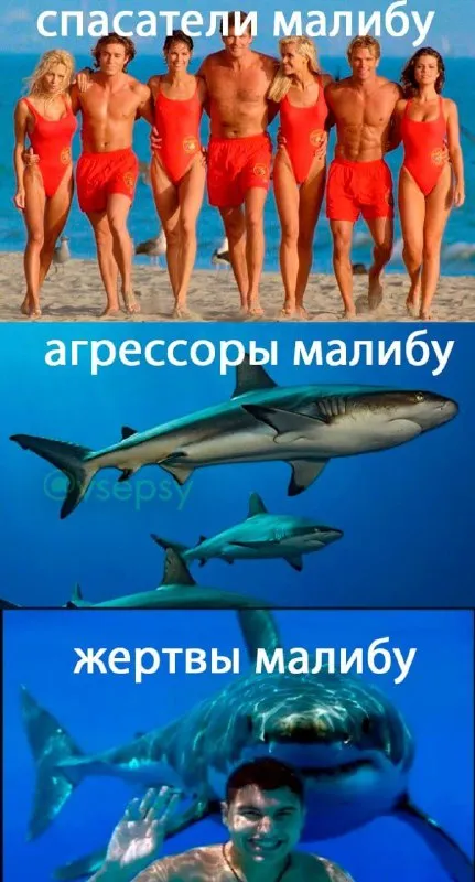 Спасатели, агрессоры и жертвы Малибу