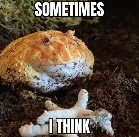 Sometimes I Think
