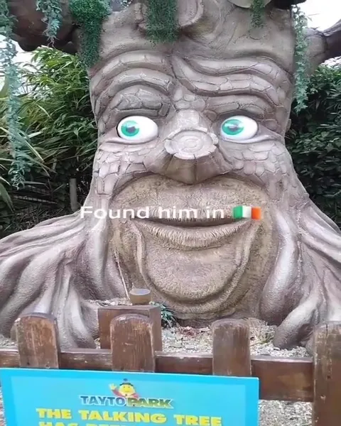 Found the Talking Tree in Ireland