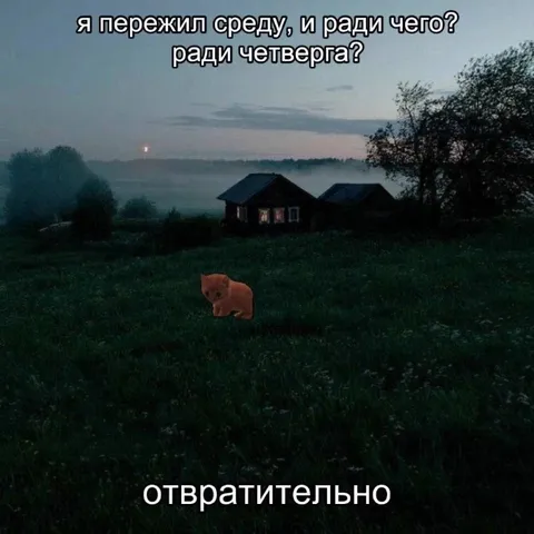 Пережил среду ради четверга