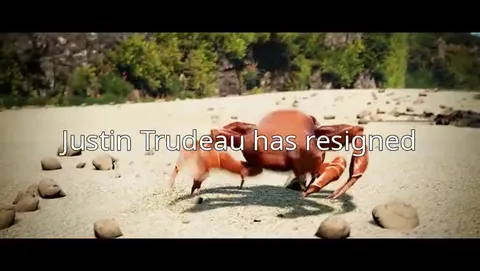 Justin Trudeau Crab Rave