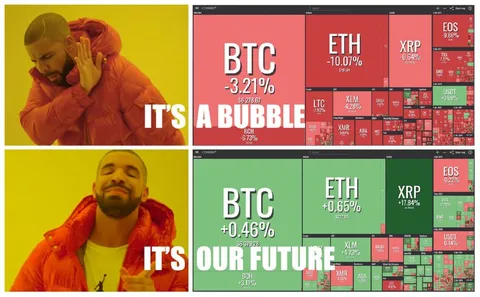 Bitcoin Bubble or Future