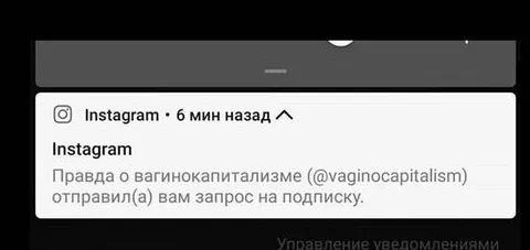Запрос на подписку от вагинокапитализма
